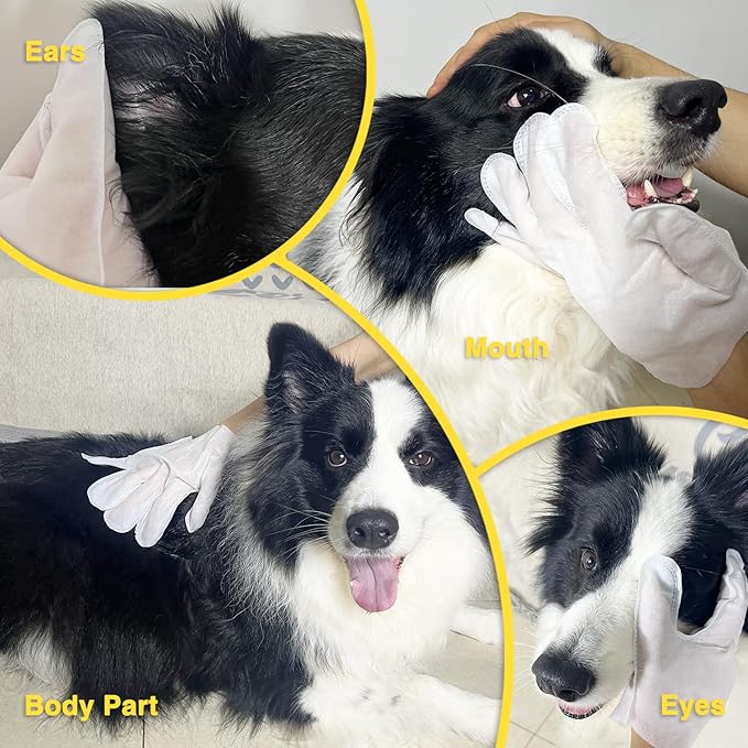 Pet Dogs Wipes Gloves 12PCS Cleaning, Cat Wipes Dog Bath Wipes, Dry Cleaning Gloves for Cats&Dogs, Pet Wash Free Gloves, Pet Bath Gloves,Pet Fur Care, Aloe Extra Nourish and Cleaning 2Pack