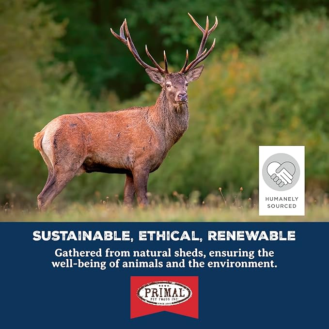 Primal Antlers for Dogs - Grade A Split Moose Antlers for Large Dogs 45-60 lb - Natural Dog Chews for Aggressive Chewers - Naturally Shed Antlers - Long Lasting Dog Bones - 1 ct