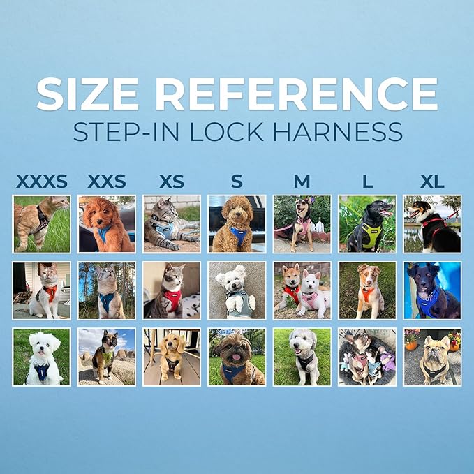Voyager Step-in Lock Pet Harness - All Weather Mesh, Adjustable Step in Harness for Cats and Dogs by Best Pet Supplies - Turquoise, XL