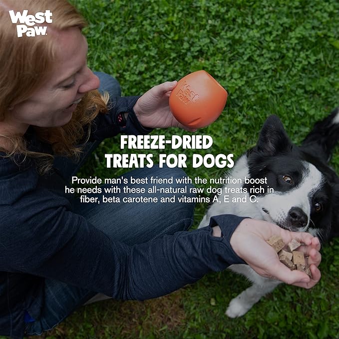 WEST PAW Freeze-Dried Raw All Natural Dog and Puppy Training Treats, Single Ingredient, Humanely Raised and Sustainably Sourced, Made in USA, Duck with Superfood, 2 Pack