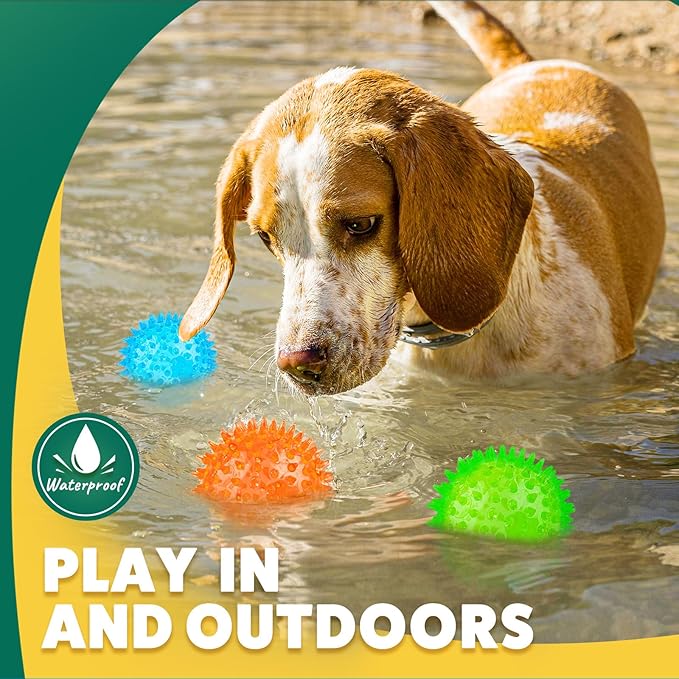 2 Different Functions Interactive Balls for Dogs 2.5” Squeaky Dog Balls Toys and Puppy Teething Chew Toy Balls for Small Dogs Dog Balls for Clean Teeth and Training (5Pcs)