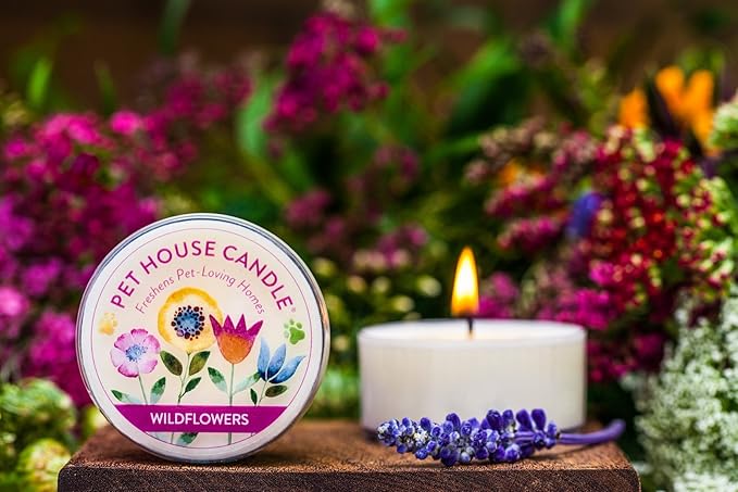 One Fur All Pet House Mini Candles Made with Natural Soy Wax, Plant Based, Pet Friendly Candles, Spring Variety Pack of 10