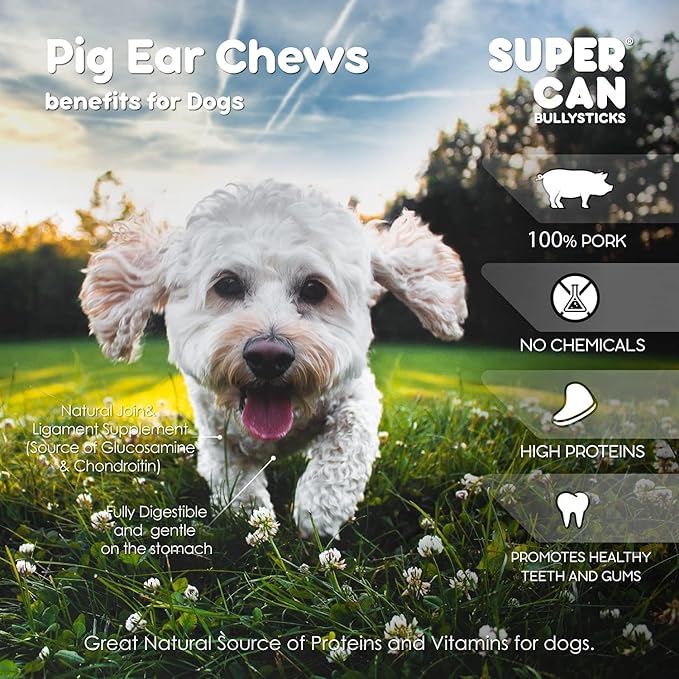 SUPER CAN BULLYSTICKS Half Pig Ears for Dogs (30 Count) All Natural Dog Treats Pig Ears - Healthy Dog Treats - Pig Ears for Dogs Large - Natural Dog Chews - Pigs Ears for Large Dogs, Medium & Small