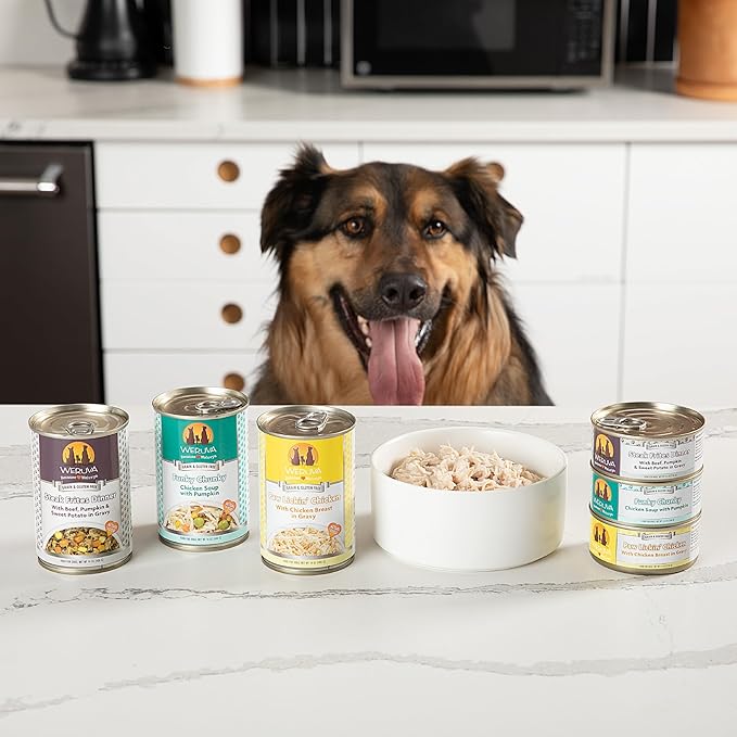 Weruva Classic Dog Food, Bed & Breakfast with Chicken, Egg, Pumpkin & Ham in Gravy, 5.5oz Can (Pack of 24), Blue