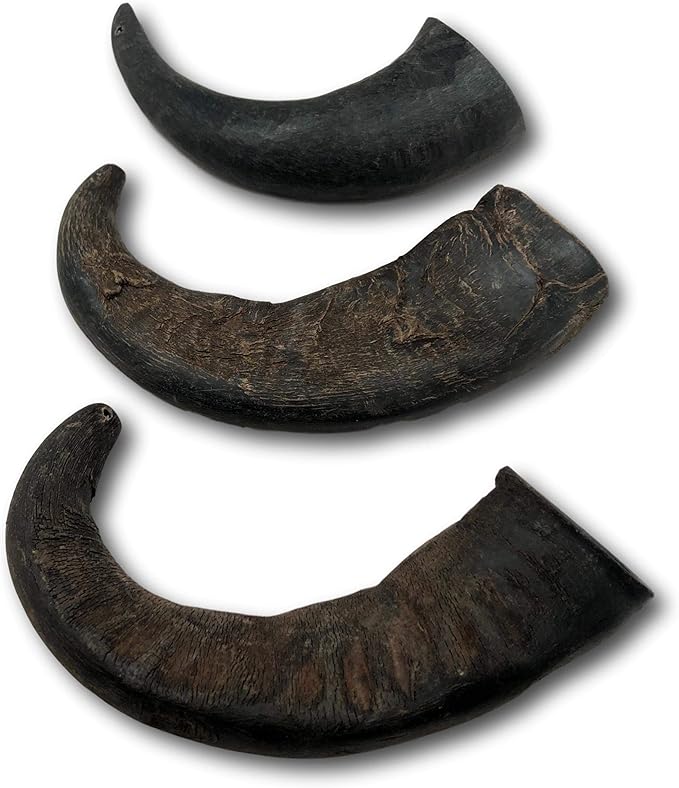 Top Dog Chews – Water Buffalo Horn, Long Lasting Dog Chew for Aggressive Chewers, All Natural, Dog Bone for Large & Medium Dogs, 3 Pack (3 Count, Water Buffalo)
