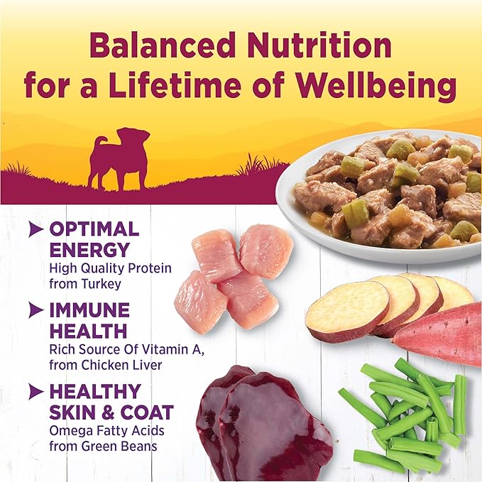 Wellness Natural Pet Food Petite Entrees Mini Fillets Natural Wet Small Breed Dog Food, Tender Turkey, Green Beans & White Sweet Potato, 3-Ounce Cup (Pack Of 24)