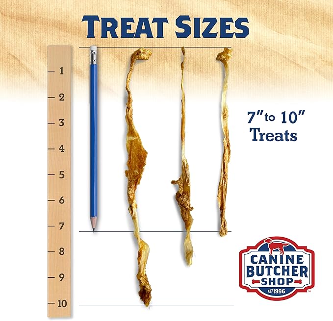 Turkey Tendons for Dogs Made in USA, Raised in USA, All-Natural Dog Chews for Small Dogs, Dog Snack for Large Dogs, Single-Ingredient Treat, Healthy No Hide Dog Chews (3 oz)