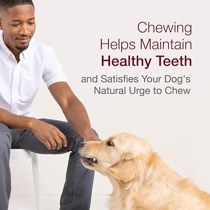 Smartsticks No Rawhide, Dog Chews Made With Real Chicken and Vegetables, 10 sticks.