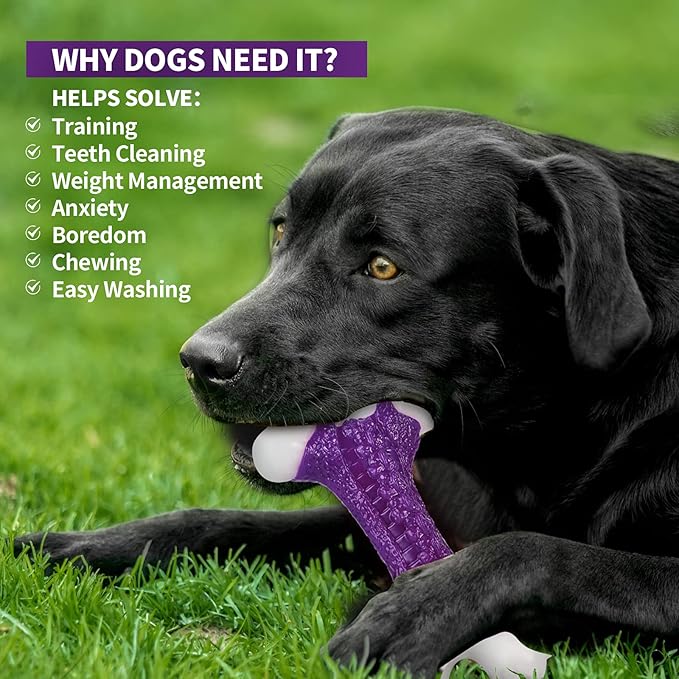 Tough Dog Chew Toys for Aggressive Chewers Large Medium Breed, Bone Toy Dog, Natural Nylon Heavy Duty Extreme Indestructible Teething Training