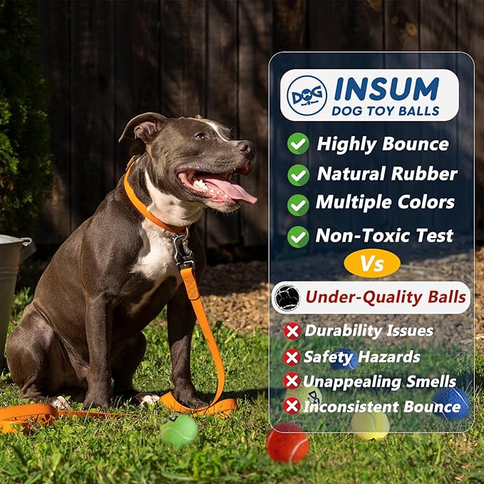 Tennis Balls for Dogs Pack of 12 Colorful Easy Catching Pet Toy Balls (2.5inch-4colors)