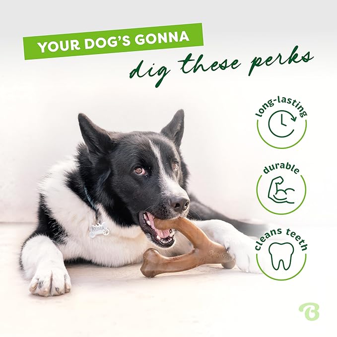 Benebone Wishbone Durable Dog Chew Toy for Aggressive Chewers, Real Chicken, Made in USA, Medium