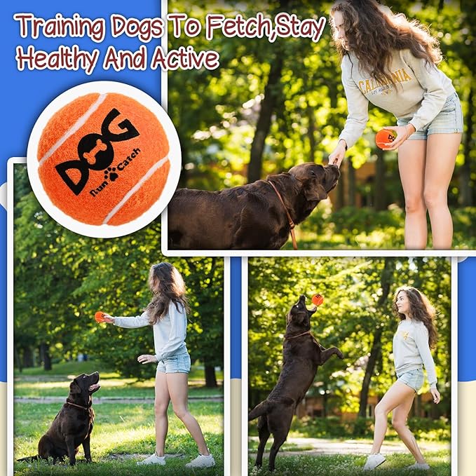 Squeaky Tennis Balls for Dogs Colorful Easy Catching Pet Dog Balls 50 Pack (2.5inch-6colors)