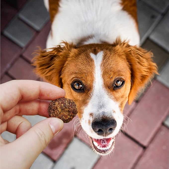 Cloud Star Wag More Bark Less Grain Free Meatball Bites, BBQ Chicken Recipe, 14 oz.
