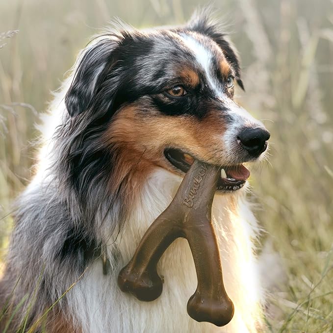 Benebone Indestructible Wishbone Dog Chew Toy for Aggressive Chewers, Long Lasting Tough Boredom Breaker for Dogs, Real Peanut Flavour, For Medium Dogs, Made in the USA.