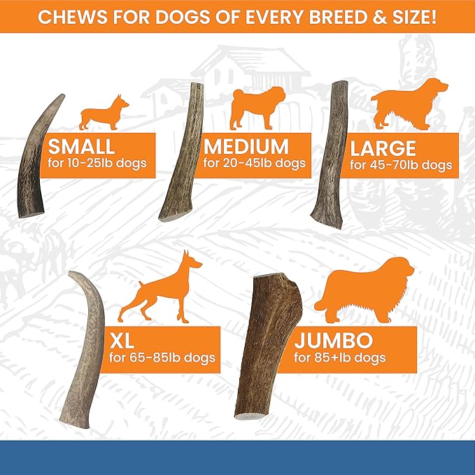 Split Antler for Dogs - Natural Dog Antlers for Aggressive Chewers - USA Sourced Elk Antlers for Dogs Small, Medium, Large - Healthy Elk Antlers for Teeth Cleaning & Chewing Pleasure