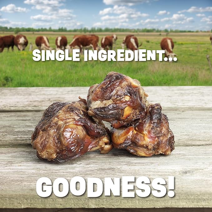Single Ingredient Dog Bone Made in USA - Beef Knee Caps - 100% Natural Dog Bones for Aggressive Chewers - from USDA Inspected Beef - Hickory Smoked - Individually Wrapped (10 Piece Pack)