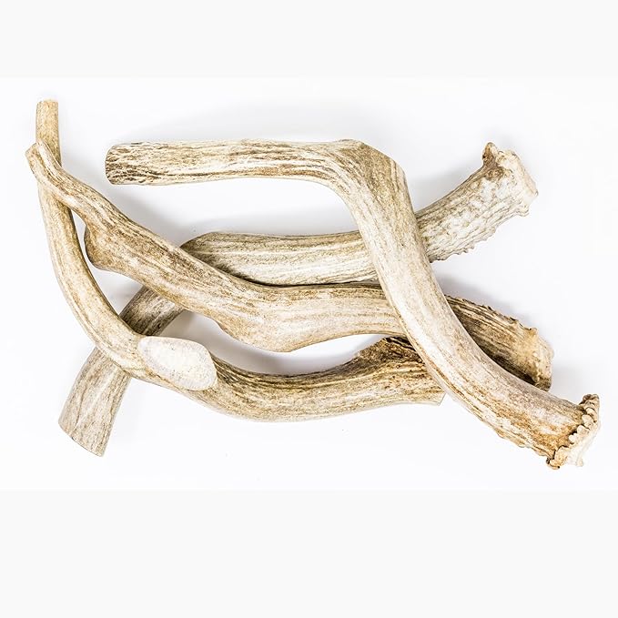 hotspot pets Premium Whole Deer Antlers for Dogs - 10+ Inch Monster Deer Antler Dog Chews - Naturally Shed for Large Breed Aggressive Chewers - Sourced in USA (2 Antlers, Monster Size)