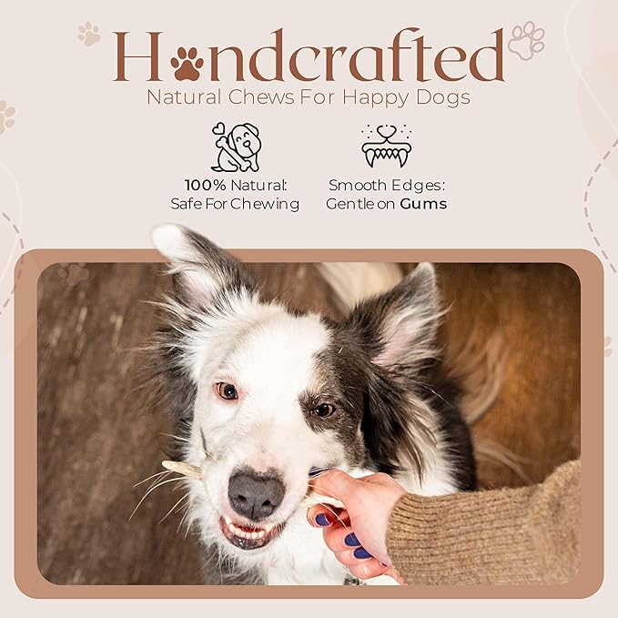 Premium White Tail Deer Antler Dog Chews, 100% All Natural, Naturally Shed Antlers, Select Cut to Size, Sanded Smooth, Dog Bones (1 Pack) (Small)