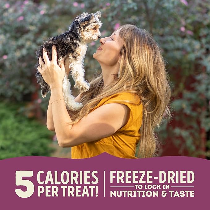 ACANA Singles Freeze Dried Dog Treats, Limited Ingredient Grain Free Lamb & Apple Recipe, 1.25oz
