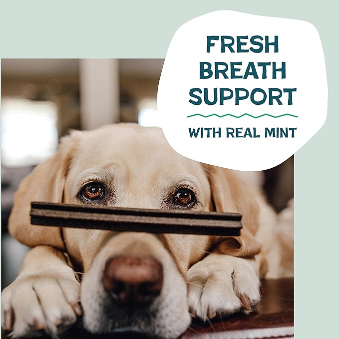 Shameless Pets Dental Treats for Dogs, A Cluck A Day (32 Sticks) - Sticks With Digestive Support for Teeth Cleaning & Fresh Breath - Dog Bones Chews Free From Grain, Corn & Soy