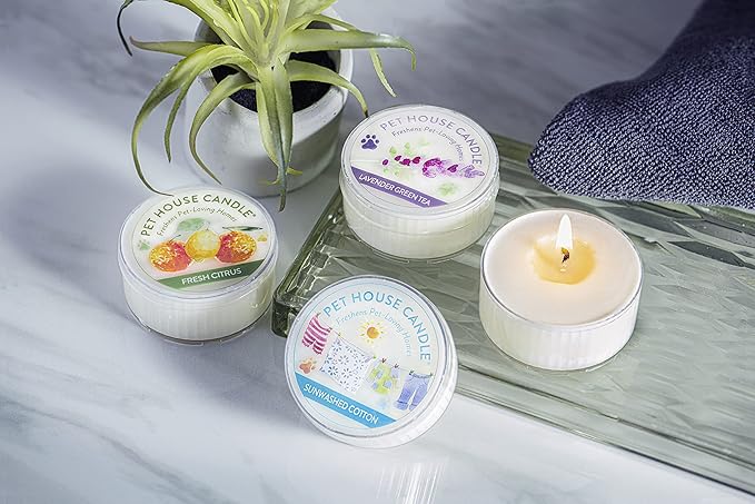 One Fur All Tropical Fruit Pet Odor Eliminator Candle - 3 Pack Natural Wax Mini Scented Candle Set
