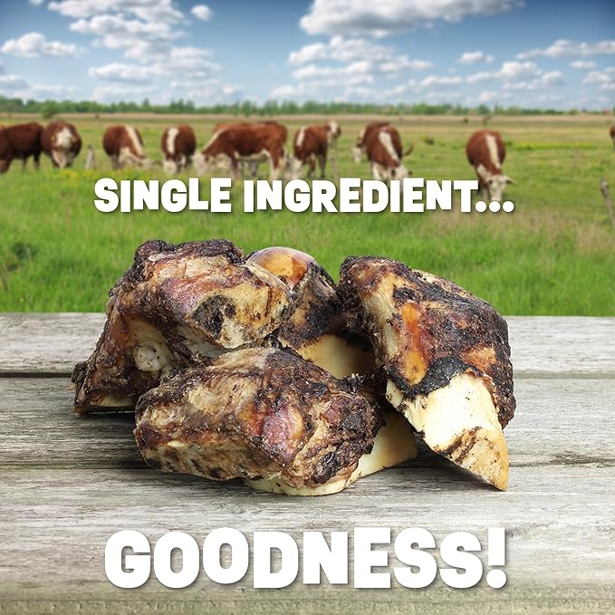 Single Ingredient Dog Bones - Made in USA - Beef Femur Bones - Natural Dog Bones for Aggressive Chewers - from USDA Inspected Beef - Hickory Smoked - Individually Wrapped (16 Piece Pack)