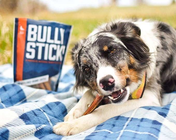 Wild Wolf 6-inch Angus Bully Sticks (8 Ounces) Healthy, All-Natural, Long-Lasting Dog Chew Bones - Odor-Free - Mixed Thickness