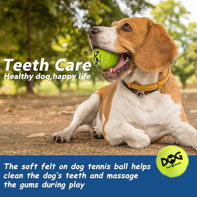 Tennis Balls for Dogs Pack of 12 Colorful Easy Catching Pet Toy Balls (2.5inch-4colors)
