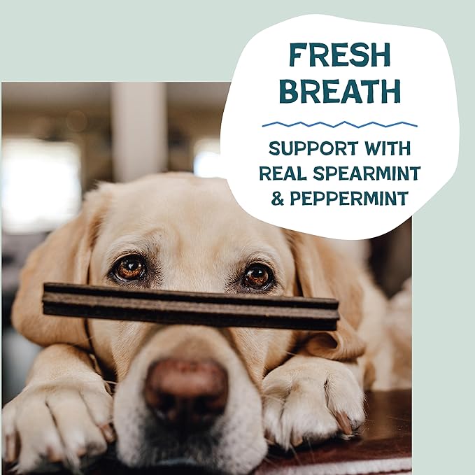 Shameless Pets Dental Treats for Dogs, Variety (4-Pack) - Healthy Teeth Cleaning Sticks for Fresh Breath - Dog Bones Dental Chews Free from Grain, Corn & Soy