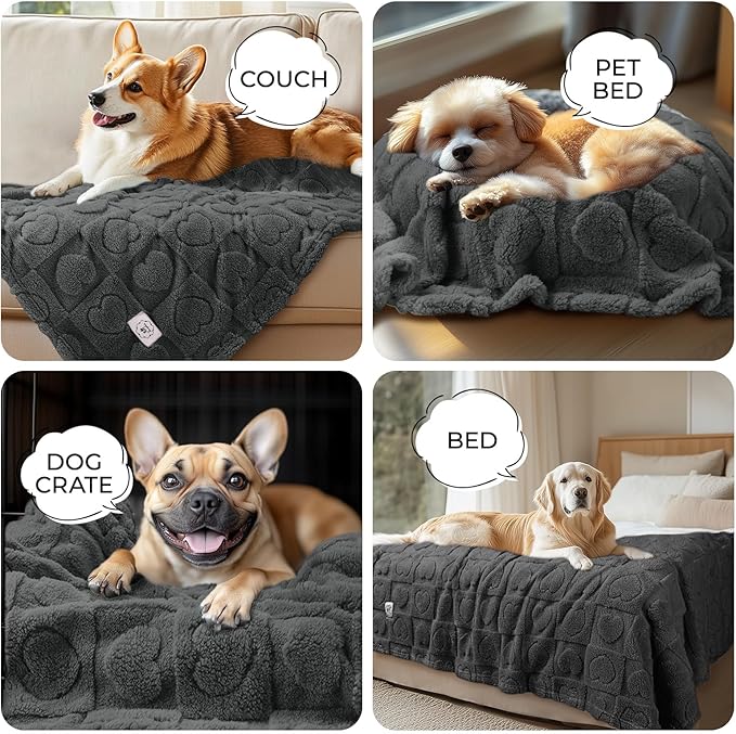 Luciphia Small Dog Blanket Washable Pet Bed Cover Soft Fluffy Puppy Blanket with Premium Fleece Cozy Calming Cat Blankets for Indoor Cats Grey 41x31 inch