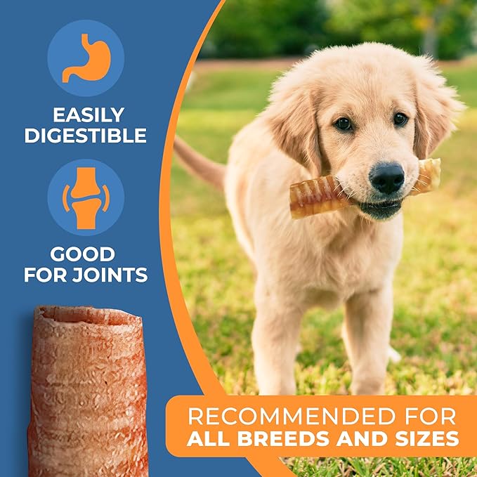 K9warehouse® - 6 Inch Beef Trachea Dog Chews - 12 Count Trachea Flats for Dogs - Packed in USA - Trachea Dog Treats - All Natural Grass-Fed Beef Dog Chews - Rich in Glucosamine Chondroitin