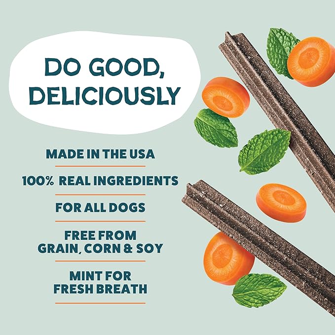 Shameless Pets Dental Treats for Dogs, Carrate Chomp (32 Sticks) - Dental Sticks with Skin & Coat Support for Teeth Cleaning & Fresh Breath - Dog Bones Dental Chews Free from Grain, Corn & Soy