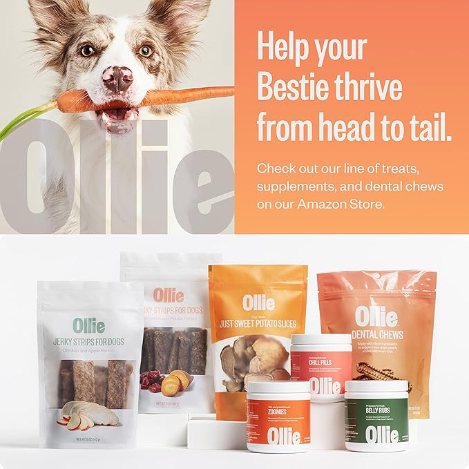 Ollie Dental Chews for Large Dogs, 12 Oz, Fresh Breath, Teeth Cleaning Treats, Sticks for Dog Oral Care, with Parsley and Cinnimon, for Pups 51 lbs and Above