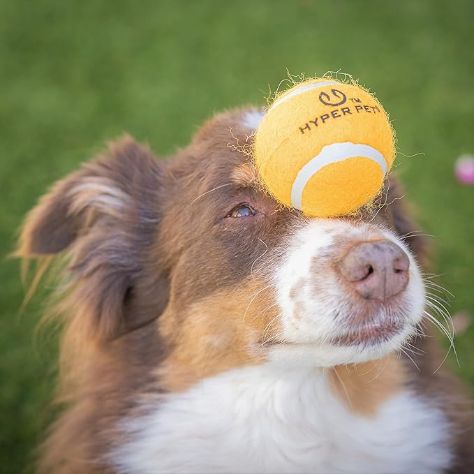 Hyper Pet Tennis Balls for Dogs (Pet Safe Ball for Exercise and Training) Interactive Dog Toys work with Hyper Pet K9 Kannon K2 Dog Ball Launcher - 4 Pack 2.5" Orange