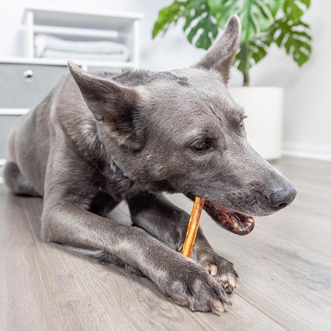 Real Salmon Collagen Sticks for Dogs, (15ct, 1cm Thick) Healthy Bully Stick - Long Lasting Dog Chew Treat