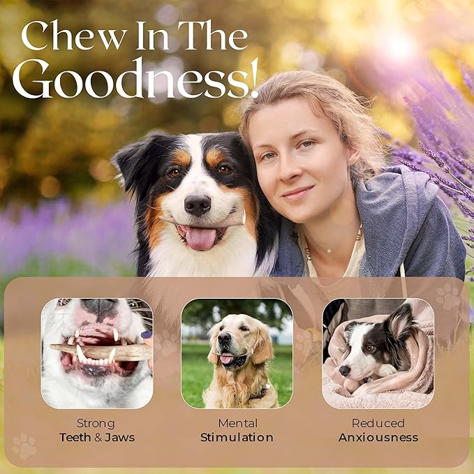 Premium White Tail Deer Antler Dog Chews, 100% All Natural, Naturally Shed Antlers, Select Cut to Size, Sanded Smooth, Dog Bones (1 Pack) (Small)