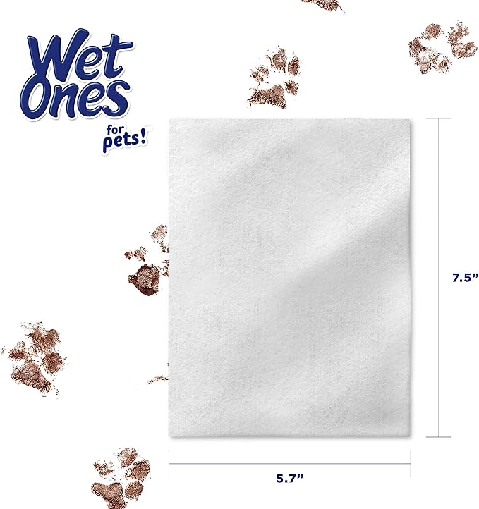 Wet Ones for Pets Multi-Purpose Dog Wipes with Aloe Vera Dog Wipes for All Dogs in Tropical Splash Wipes for Dog Paws & All Over Use (Pack of 12,1200 Count Total)