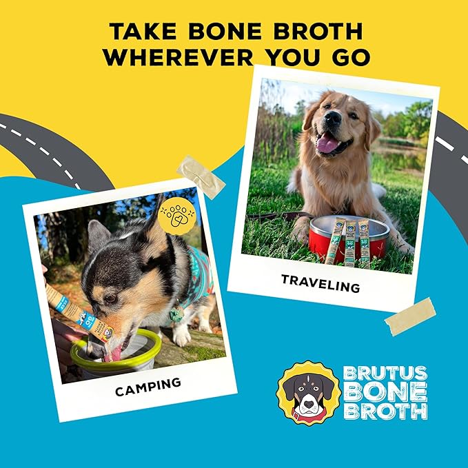 Brutus Bone Broth for Dogs - Bone Broth Powder with Chondroitin Glucosamine & Turmeric - Human Grade Dog Food Toppers for Dry Food & Picky Eaters - 10 Stick (Beef)