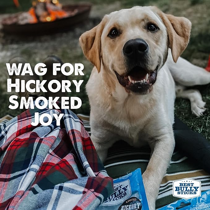 Best Bully Sticks Hickory Smoked 100% Natural Whole Pig Ears for Dogs 12 Pack - USA Smoked No Additives Pork Dog Treats - for Small or Large Dogs