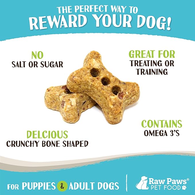 Raw Paws Mini Bones for Dogs - Sweet Potato & Honey Recipe, 10-oz - Made in USA Mini Dog Biscuits, Small Training Treats for Dogs - Wheat, Corn, Soy Free Crunchy Dog Treats, Mini Bones for Dogs