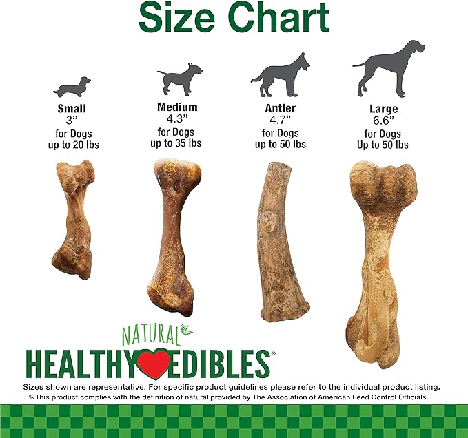 Nylabone Healthy Edibles Broth Bone Natural Dog Chews Long Lasting Treats Ham Flavor Small/Regular - Up to 25 Ibs. (4 Count)