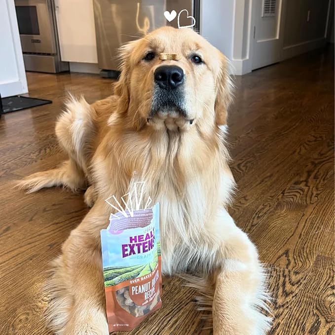 Health Extension Oven-Baked Dog Treats, 2.25lb (1.02kg), Peanut Butter & Banana Recipe – Gluten & Grain-Free, Superfood-Infused, Crunchy Biscuits for Puppy Training