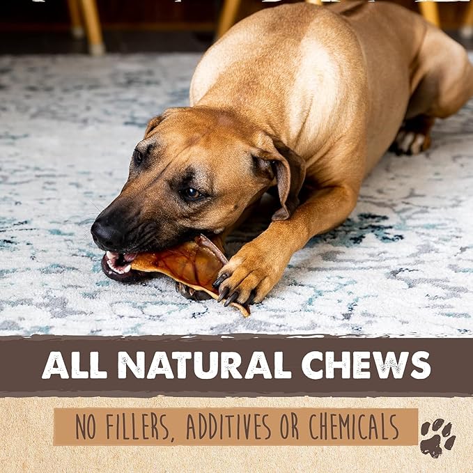 Mighty Paw Full Pig Ears for Dogs (6 lb) | All Natural Dog Treats. Single Ingredient Pig Ear Dog Treats. Better Than Rawhide Dog Snacks for Puppy & Large/Medium Dogs. Pigs Ears Dog Chews, Dog Pig Ears