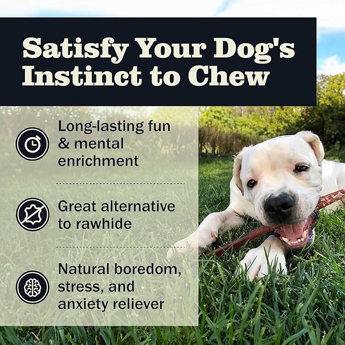 Redbarn Pet Products All Natural 8-12" Bully Sticks for Medium & Large Dogs - Healthy Long Lasting Chews Variety Party Pack - 100% Beef Single Ingredient Low Odor Rawhide Free - 1 lb. Bag
