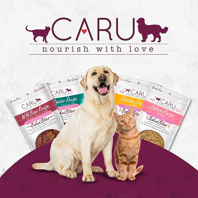 CARU - Soft 'n Tasty Baked Bites - Beef Bites Dog Treats - Flavorful Training Treats - 4 oz
