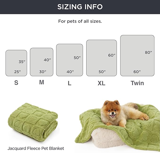 Bedsure Dog Blanket for Small Dogs Washable - Soft Fluffy Puppy Blanket with Premium 300GSM Coral Fleece, Cozy Calming Cat Blankets for Indoor Cats, Fuzzy Pet Blanket for Kitten Doggy, Green, 25x35IN