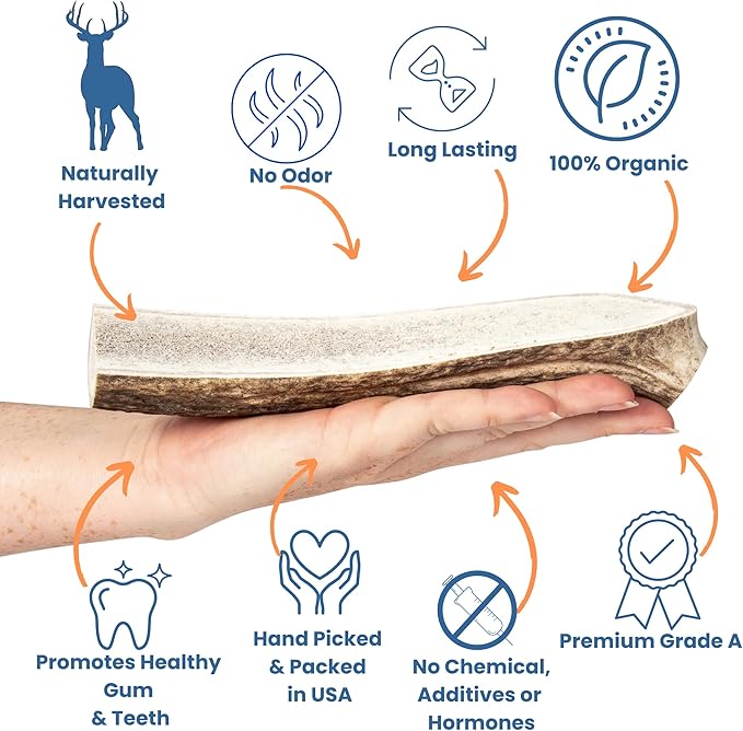 Split Antler for Dogs - Natural Dog Antlers for Aggressive Chewers - USA Sourced Elk Antlers for Dogs Small, Medium, Large - Healthy Elk Antlers for Teeth Cleaning & Chewing Pleasure