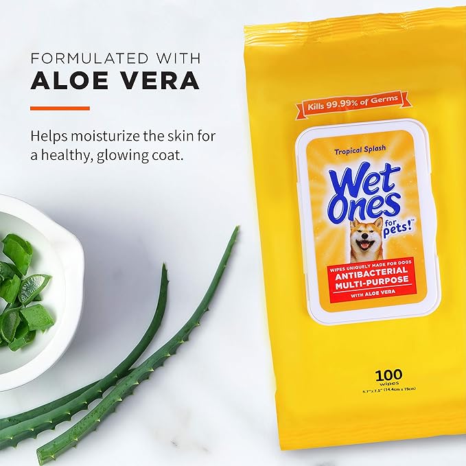 Wet Ones for Pets Multi-Purpose Dog Wipes with Aloe Vera Dog Wipes for All Dogs in Tropical Splash Wipes for Dog Paws & All Over Use (Pack of 12,1200 Count Total)