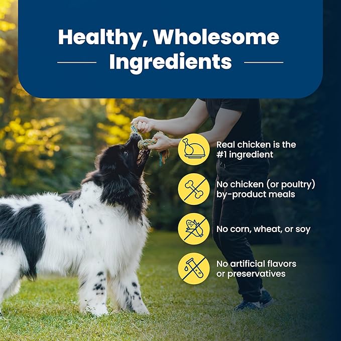 Blue Buffalo Life Protection Formula Healthy Weight Adult Dry Dog Food, Supports an Ideal Weight, Made with Natural Ingredients, Chicken & Brown Rice Recipe, 5-lb Bag