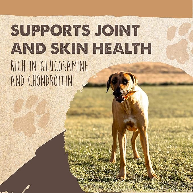 Mighty Paw Full Pig Ears for Dogs (6 lb) | All Natural Dog Treats. Single Ingredient Pig Ear Dog Treats. Better Than Rawhide Dog Snacks for Puppy & Large/Medium Dogs. Pigs Ears Dog Chews, Dog Pig Ears